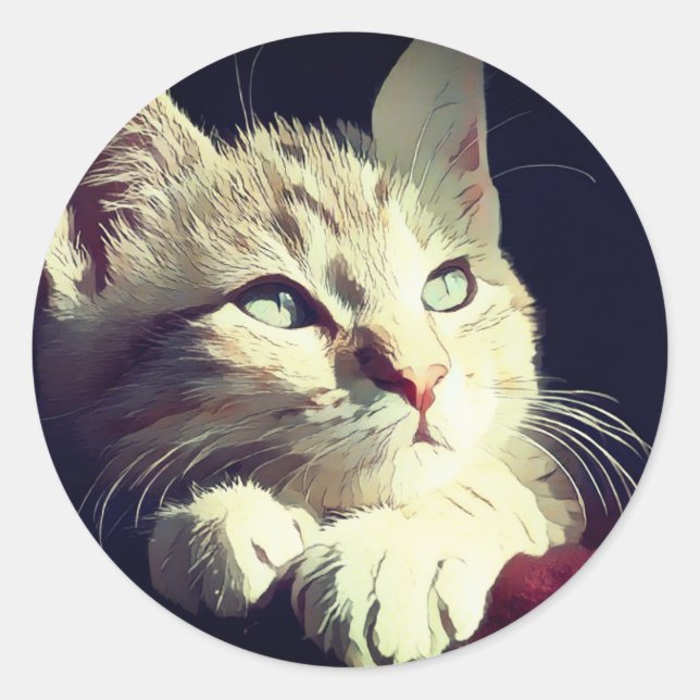 Cat, Nature,pet Classic Round Sticker (Front)