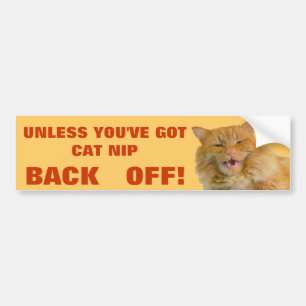 Cat Nip Treats or Back Off Grumpy Kitty Bumper Sticker
