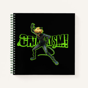 Cat Noir   Cataclysm Notebook