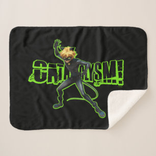 Cat Noir   Cataclysm Sherpa Blanket