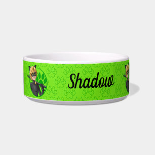 Cat Noir Green Badge Bowl