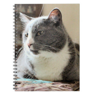 Cat Notebook