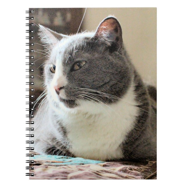 Cat Notebook (Front)