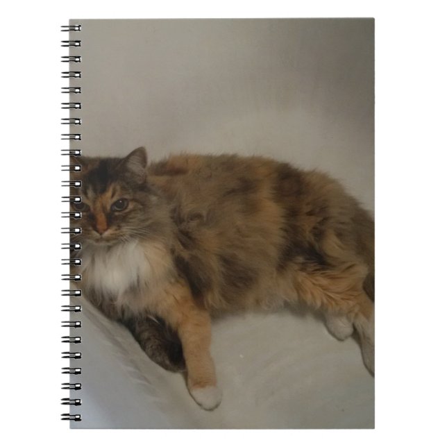 Cat Notebook (Front)