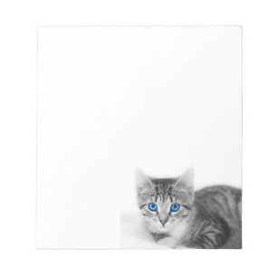 cat notepad