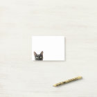 Cat Notes
