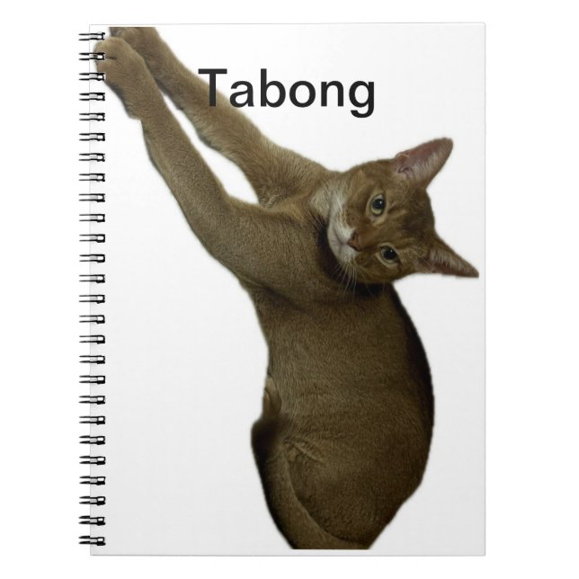 Cat notes notebook (Front)