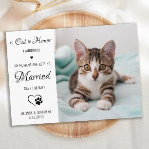 Cat Of Honour Personalised Pet Photo Cat Wedding Save The Date