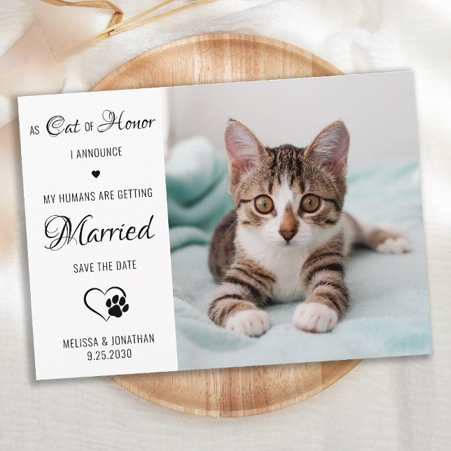 Cat Of Honour Personalised Pet Photo Cat Wedding Save The Date (Creator Uploaded)