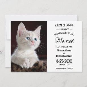 Cat of Honour Pet Photo Wedding Save The Date