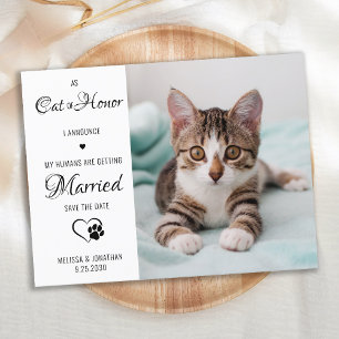Cat Of Honour Pet Wedding Photo Save The Date  Announcement Postcard