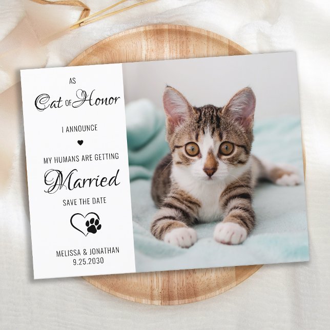  Cat Of Honour Pet Wedding Photo Save The Date  Announcement Postcard (Creator Uploaded)