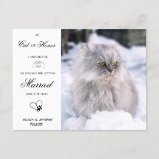 Cat Of Honour Pet Wedding Photo Save The Date Holiday Postcard