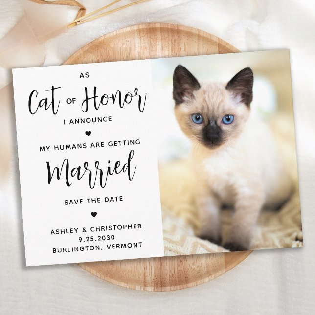 Cat Of Honour Save The Date (Creator Uploaded)