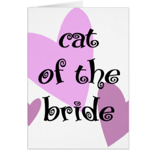 Cat of the Bride