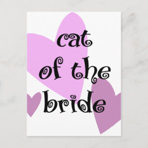 Cat of the Bride Postcard