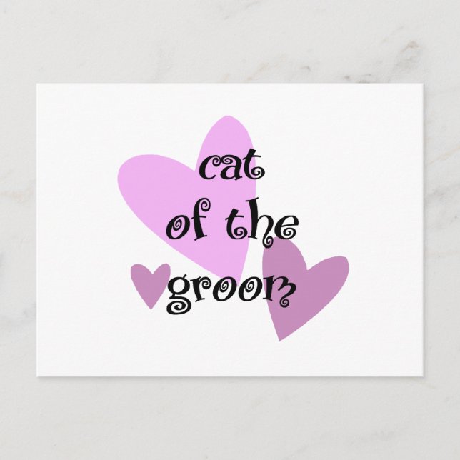 Cat of the Groom Postcard (Front)