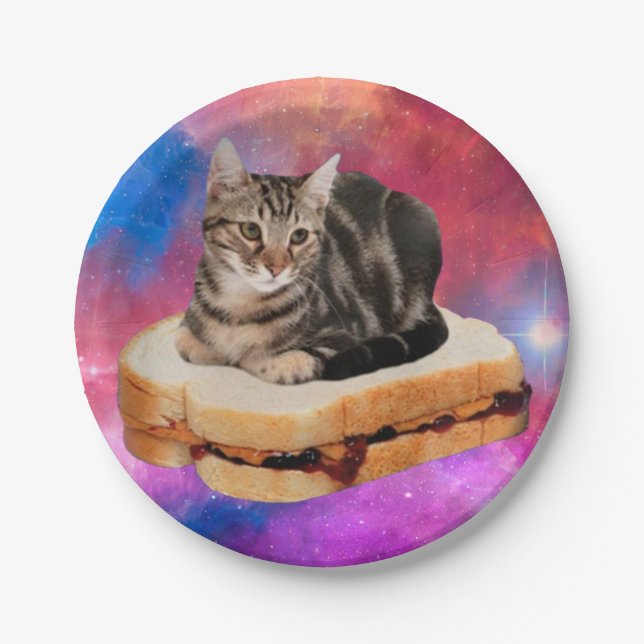 Cat on a bread flying in space paper plate (Front)
