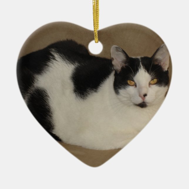 Cat On A Couch Ceramic Tree Decoration (Front)