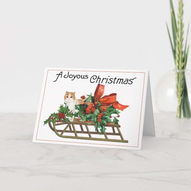 Cat on a Decorated Sled Christmas Card (Front)