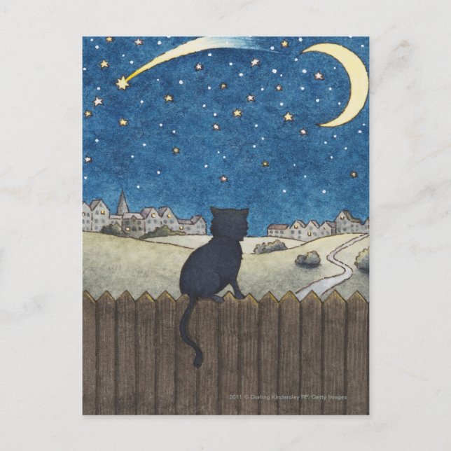 Cat on a fence looking at night sky above city postcard (Front)
