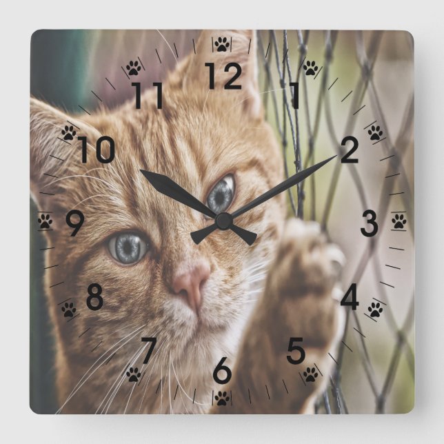 Cat On A Fence Square Wall Clock (Front)