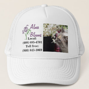 Cat on a hat. trucker hat