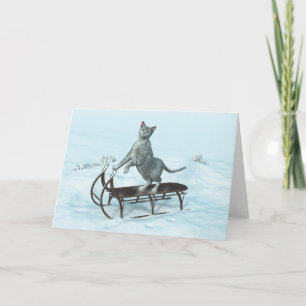 Cat on a sledding holiday card