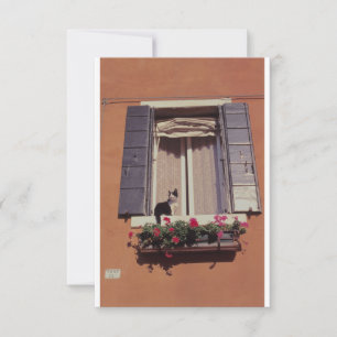 Cat on a Venetian Window Sill. Thank You Card