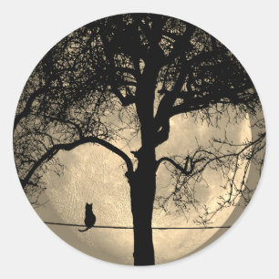 Cat on a Wire Full Moon Classic Round Sticker