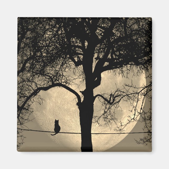 Cat on a Wire Full Moon Magnet (Front)