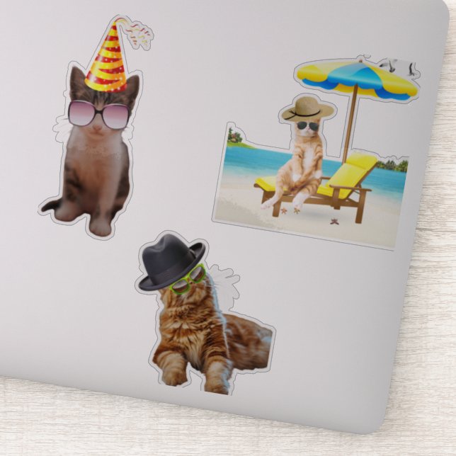 Cat On Beach (Detail)