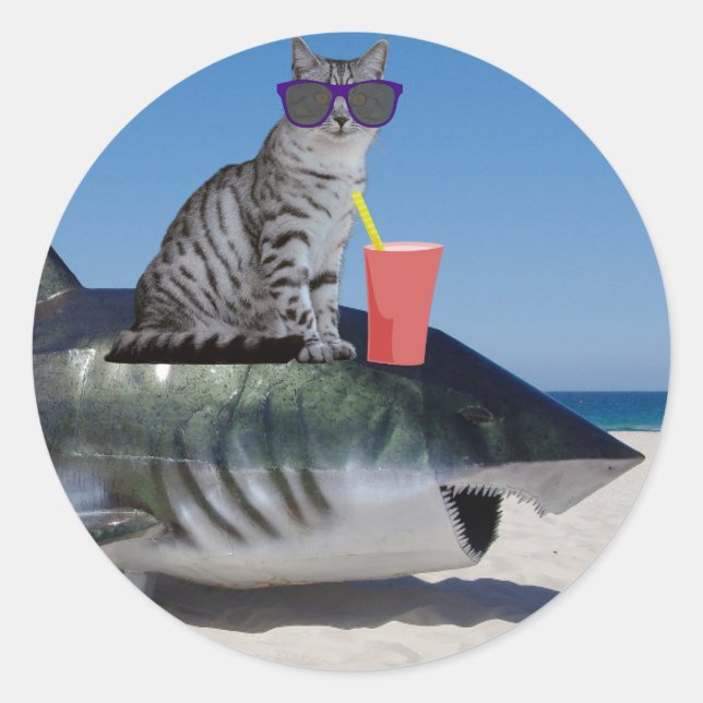 CAT ON BEACH SHARK CLASSIC ROUND STICKER (Front)