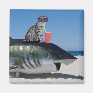 CAT ON BEACH SHARK MAGNET