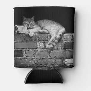 Cat on Brick Wall Can Cooler