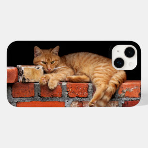 Cat on Brick Wall Case-Mate iPhone 14 Plus Case