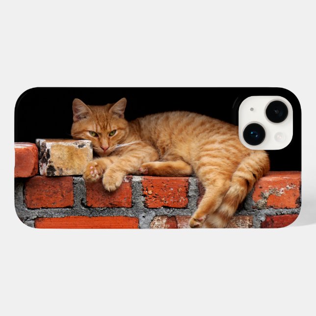 Cat on Brick Wall Case-Mate iPhone Case (Back (Horizontal))