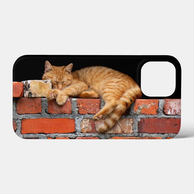Cat on Brick Wall Case-Mate iPhone Case (Back (Horizontal))