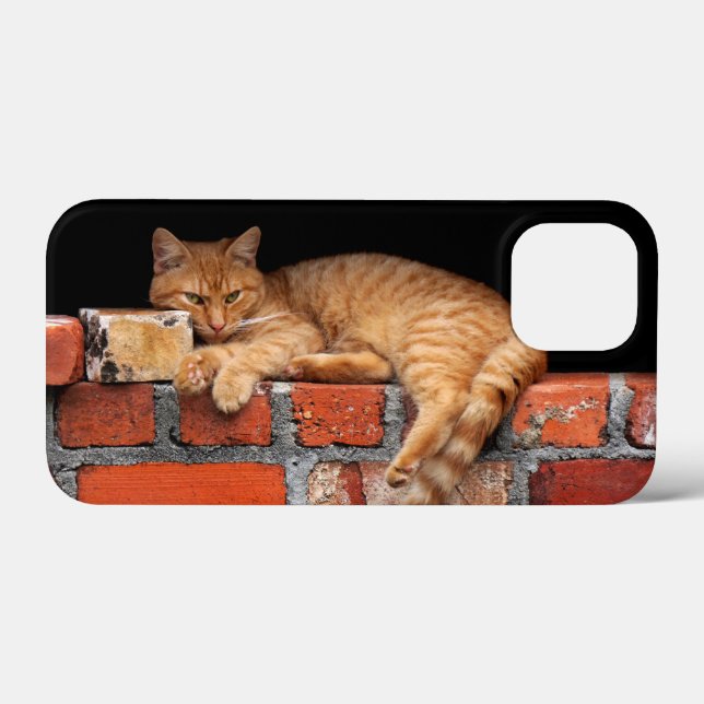 Cat on Brick Wall Case-Mate iPhone Case (Back (Horizontal))