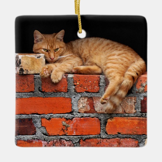 Cat on Brick Wall Ceramic Ornament (Front)