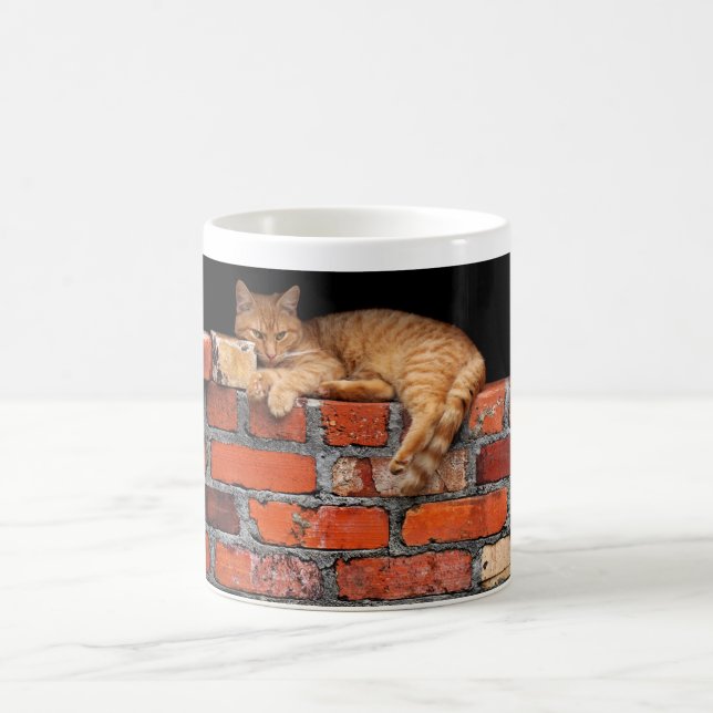 Cat on Brick Wall Coffee Mug (Center)
