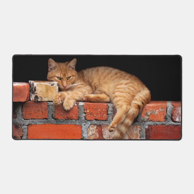 Cat on Brick Wall  Desk Mat (Front)