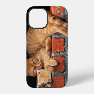 Cat on Brick Wall iPhone Case