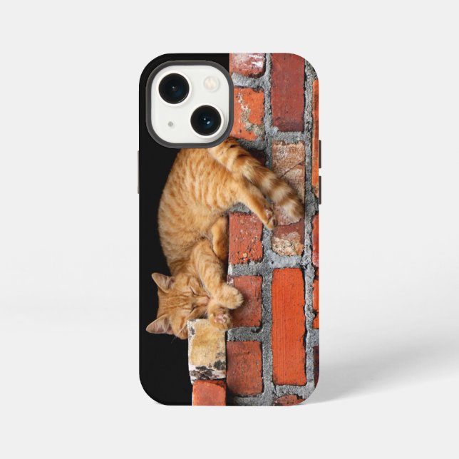 Cat on Brick Wall iPhone Case (Back)