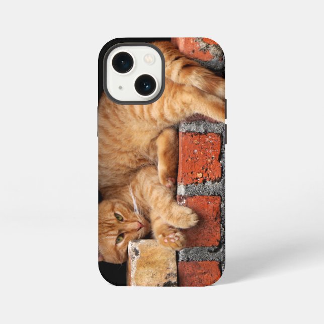 Cat on Brick Wall iPhone Case (Back)