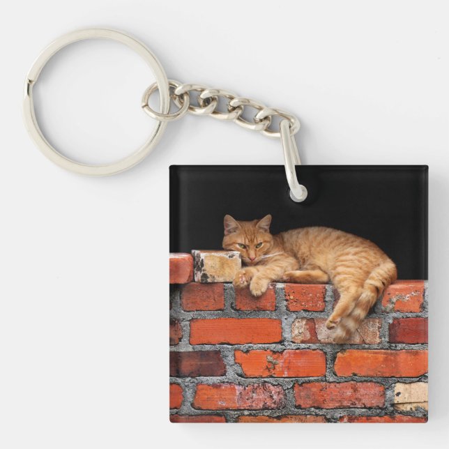 Cat on Brick Wall Key Ring (Front)