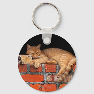 Cat on Brick Wall Keychain