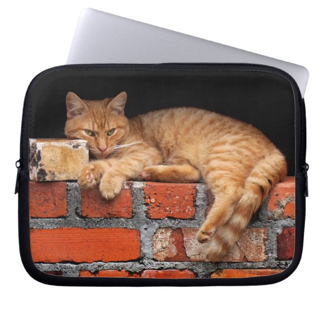 Cat on Brick Wall Laptop Sleeve (Front)