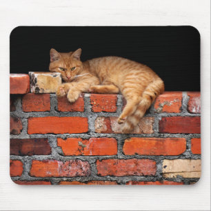 Cat on Brick Wall Mouse Pad