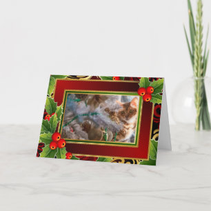 Cat on Christmas - Holiday Background Card
